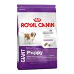 ROYAL CANIN DOG GIANT PUPPY 15KG
