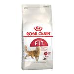 ROYAL CANIN CAT FIT 32 15KG    