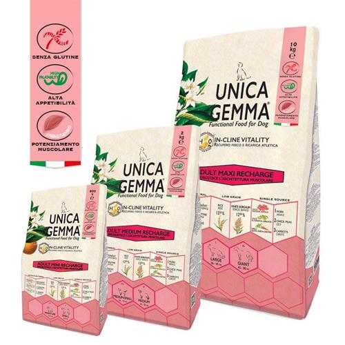 Unica Gemma – Adult Maintenance RECHARGE MAIALE MEDIUM 10KG  