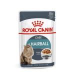 ROYAL CANIN CAT CARE HAIRBALL SALSA 85GR
