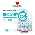 DISUGUAL DIET DOG RECOVERY ANATRA 400GR  ORDINE MINIMO 6PZ