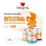 DISUGUAL DIET DOG INTESTINAL MANZO 400GR  ORDINE MINIMO 6PZ