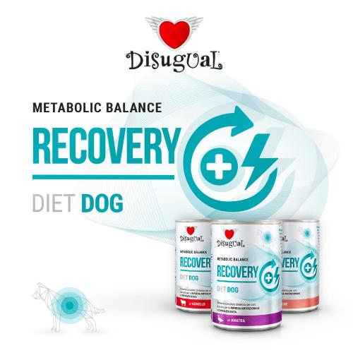 DISUGUAL DIET DOG RECOVERY SALMONE 400GR  ORDINE MINIMO 6PZ