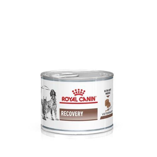 ROYAL CANIN DOG/CAT RECOVERY 200GR ORDINE MINIMO 12PZ