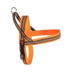 PETTORINA IN NEOPRENE DYNAMIC  60CM  COLORE ARANCIO