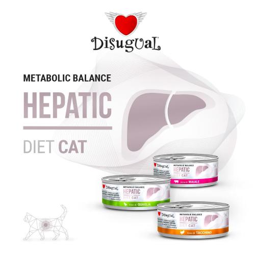 DISUGUAL DIET CAT HEPATIC QUAGLIA  85GR  ORDINE MINIMO 12PZ
