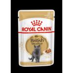 ROYAL CANIN British Shorthair 85GR