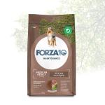 FORZA10 DOG MEDIUM ADULT MAINTENANCE AGNELLO E RISO 12,5KG   