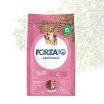 FORZA10 DOG ALL BREEDS ADULT MAINTENANCE MAIALE 12,5KG 