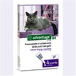 BAYER ADVANTAGE 80 GATTI OLTRE 4KG  SCAD.11/2023